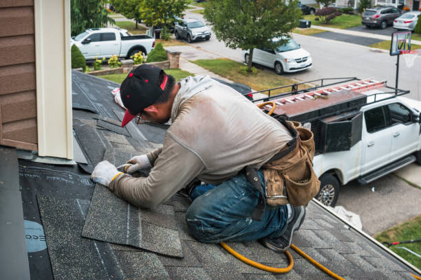Professional Roofing technician working in Palestine, IL
